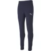 Broek Puma TeamGOAL 23, Blauw, Mannen