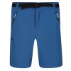 Regatta Heren Xert III Stretch Shorts (Pacifisch Groen)