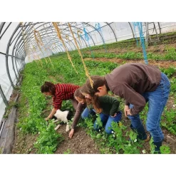 OVERHEMD 100 -Trend Kledij Verkoop overhemd 100 rood 12