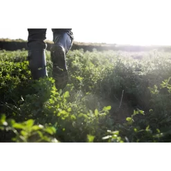 Rubberlaarzen Met Plooi 520 -Trend Kledij Verkoop rubberlaarzen met plooi 520 5